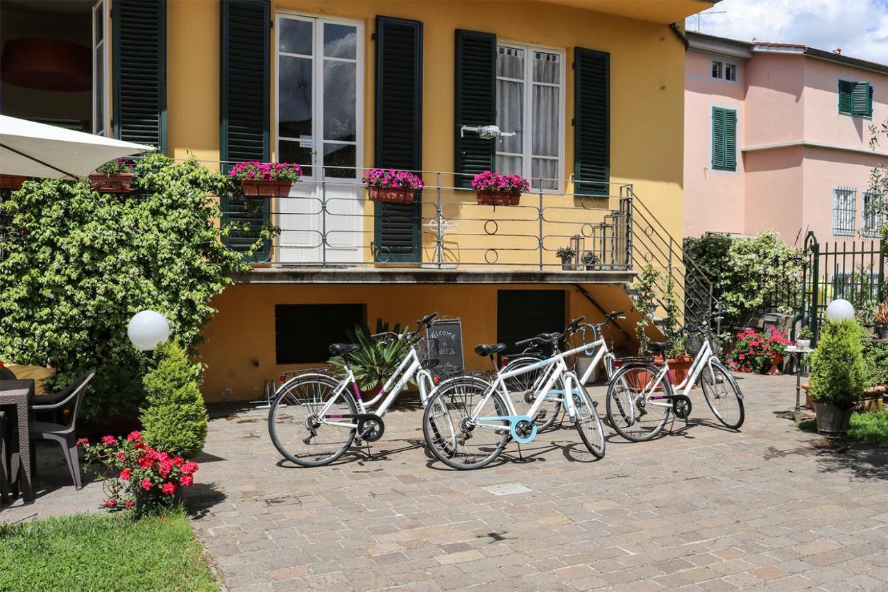 Villa San Donato B&B Λούκα Εξωτερικό φωτογραφία