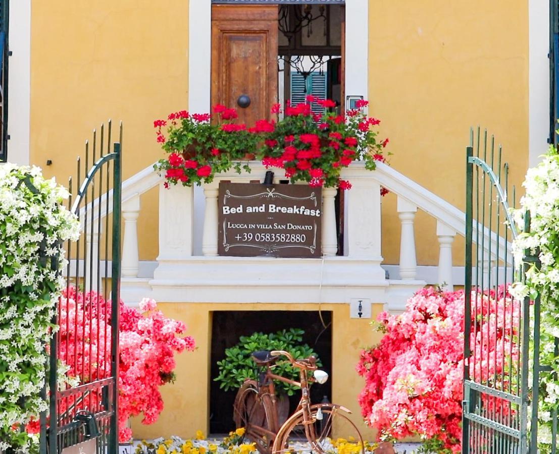 Villa San Donato B&B Λούκα Εξωτερικό φωτογραφία
